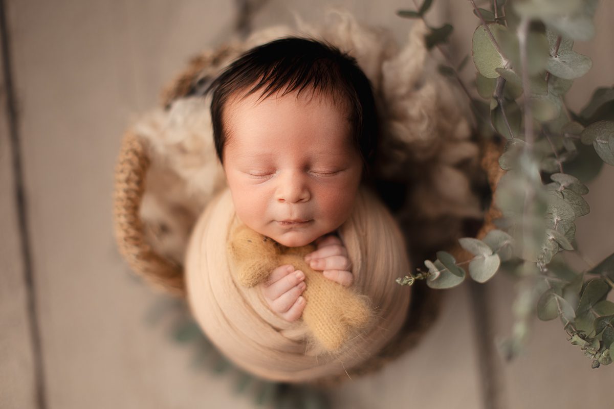 photo de bébé
